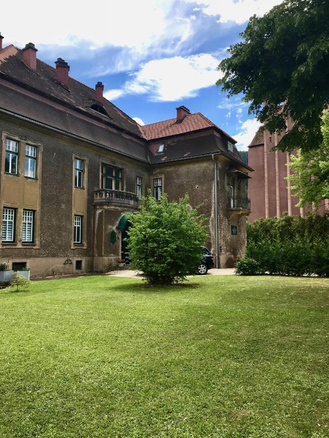 Apartment Im Gruenen Леобен Экстерьер фото